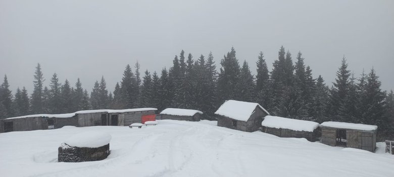 Прикордонники врятували порушника у засніжених Карпатах