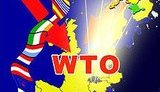 Россия и пять стран подали иск в ВТО против Украины