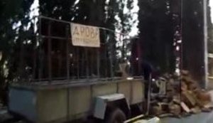 "Приехали хрен знает откуда. Санатории, бл#дь, позакрывали. При Украине у нас работа была, а вы что сделали?", - в оккупированном Симеизе рубят парк на дрова. ВИДЕО