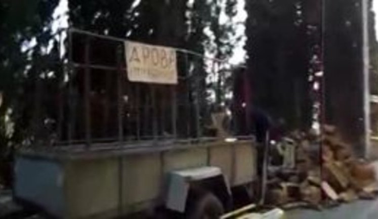 "Приехали хрен знает откуда. Санатории, бл#дь, позакрывали. При Украине у нас работа была, а вы что сделали?", - в оккупированном Симеизе рубят парк на дрова. ВИДЕО