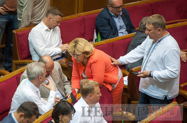 Мелірування Рибчинського, розповідь Мірошниченка Продан і Каплін, що розводить руками, - день роботи ВР 19 червня 09