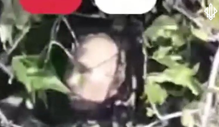 Нацгвардійці ліквідували двійника Путіна на Покровському напрямку. ВIДЕО