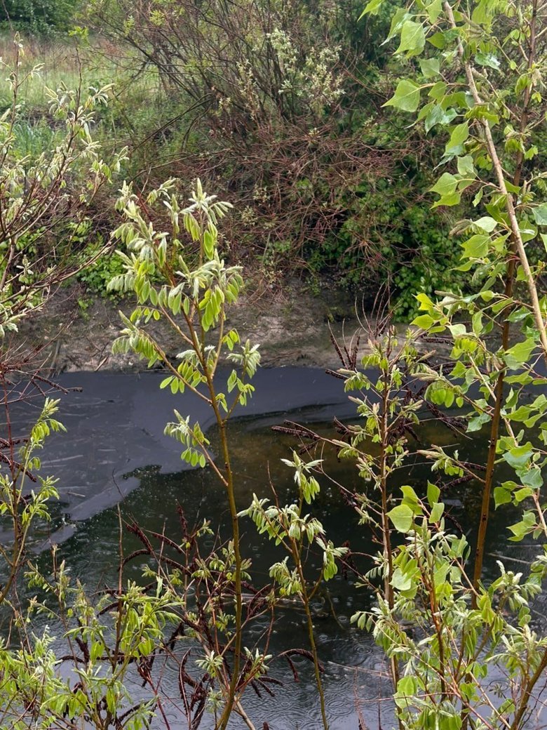 Невідома речовина у водоймах Кременчука