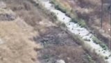 Рашист зафільмував дроном сотні українських FPV-"ждунів", які чатують на окупантів уздовж логістичної дороги біля Лиману. ВIДЕО