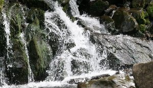 Во время школьной экскурсии на Львовщине погиб шестиклассник