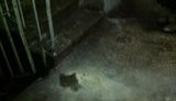 В Донецке тающий снег заливает подъезды жилых домов. ФОТО