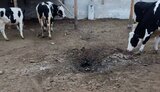 новодмитрівка