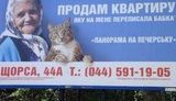 "Кот продает переписанную от бабушки квартиру" - популярный сюжет уже используют в коммерческой рекламе. ФОТО