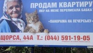 "Кот продает переписанную от бабушки квартиру" - популярный сюжет уже используют в коммерческой рекламе. ФОТО