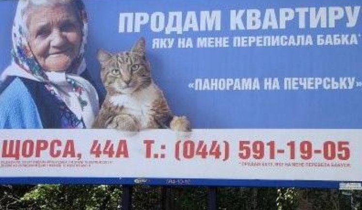 "Кот продает переписанную от бабушки квартиру" - популярный сюжет уже используют в коммерческой рекламе. ФОТО