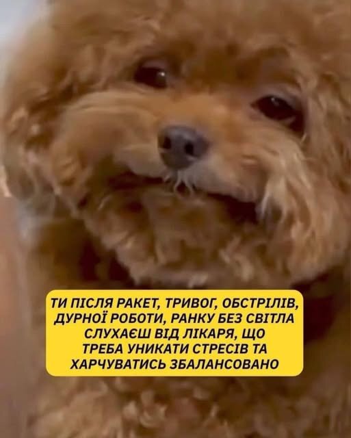 фотожаба