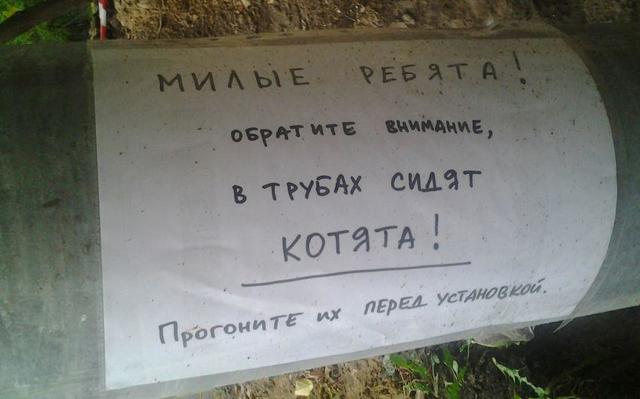 объявление