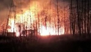 Fire and detonation of ammunition at a Russian army field depot following a drone attack: "Everything’s burnt down again! F#ck!". VIDEO