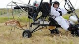 Putin to the Rescue! Russian President Saves the Cranes on a Glider. PHOTO + VIDEO