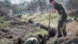 Найманці Ходаковського викопали укріпрайон на донецькому кладовищі. ФОТОрепортаж