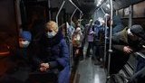 ордло,денісова,вивезені