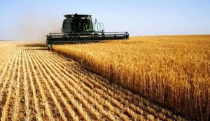 Уряд готує фінансові та логістичні рішення для підтримки аграріїв на тлі ускладнення морської логістики