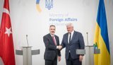 Сибіга зустрівся з Фіданом