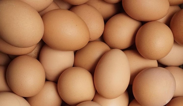 За рік Україна на 66% збільшила експорт яєць. Хто основні покупці?