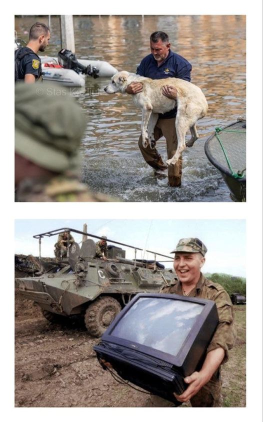 Ось у чому різниця
