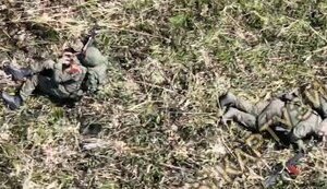 Операторы дронов одного оккупанта "довели" до самоубийства, а другому попали дроном-камикадзе между ног. ВИДЕО