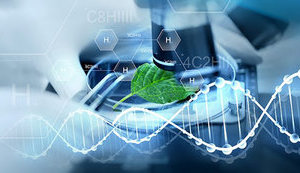 Японские ученые нашли способ получать водород при помощи ржавчины