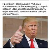 И зачем с ними воевать, когда они сами прекрасно справляются?!