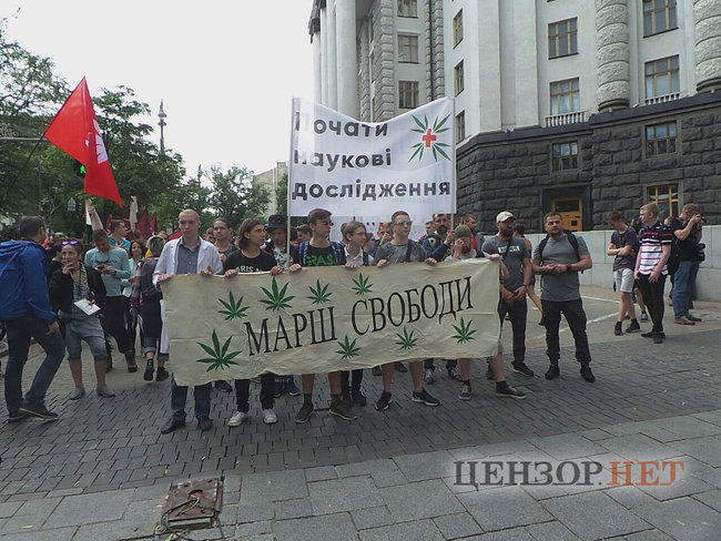Начать научные исследования: под Кабмином требовали легализовать марихуану 04