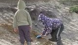 дети