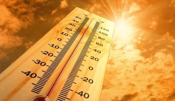 В Киеве в течение 12-14 июля зафиксировали 7 температурных рекордов