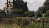 Замок тольяттинского барина в деревне Хрящевка. ФОТО