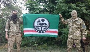 Профільний комітет Ради з'ясує, чому проти бійців добробатів ввели санкції, - Устінова