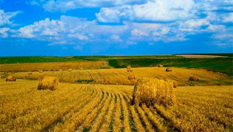 У разі відкриття ринку землі в Україні один гектар продаватиметься на рівні $2200, - заступник міністра економіки Висоцький