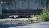 Russian strike on Kyiv on 4 July. Human remains found