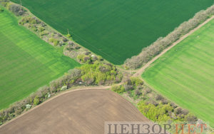 53% Of Pollees Questioned By Rating Sociological Group Opposing Sale Of Farmlands