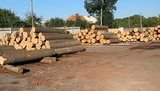 Чиновники военного лесничества Виннитчины разоблачены на незаконном сбыте государственной древесины на сумму более 260 тыс. грн, - СБУ. ФОТОрепортаж