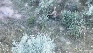 "Червона Калина" вдарила по ворогу серед дерев, на дорозі й у полі. ВIДЕО