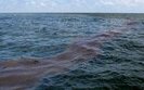15 кілометрів прибережної смуги Азовського моря забруднено мазутом