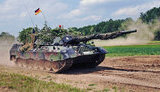 leopard,leopard1