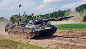 leopard,leopard1