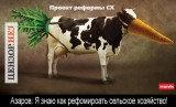Очередная реформа