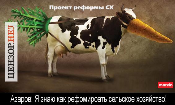 Очередная реформа