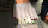 СБУ на Львівщині блокувала незаконне ввезення в Україну 8 тис. таблеток різних ветпрепаратів на суму 350 тис. грн. ФОТО