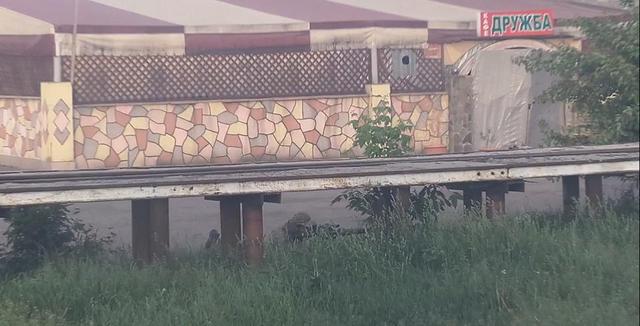 память донбасс бои карловка