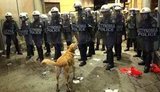 Друг человека Сосиска - враг полицейских. У "них" даже собаки идут в бой за свои права. ФОТОрепортаж