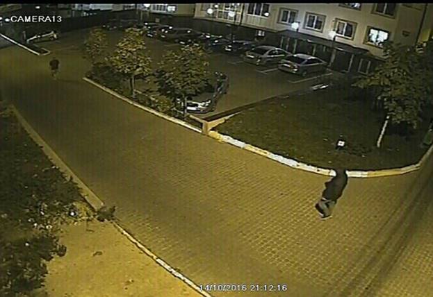 Затримано викрадачів нерозмитнених автомобілів з іноземними номерами 03