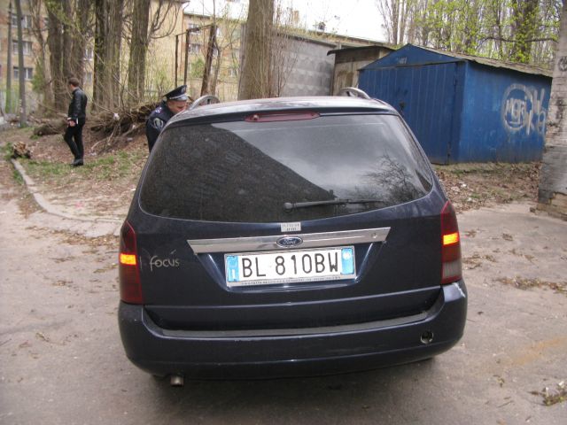 бузина