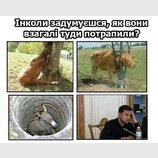 Загадки природы