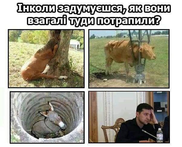 Загадки природы