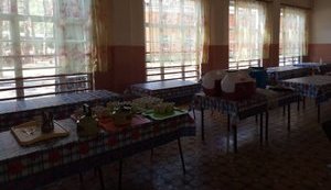 У дитячому таборі на Донеччині отруїлися 60 дітей, розпочато розслідування, - Лисенко. ФОТО